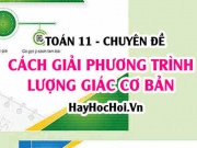Cách giải phương trình lượng giác cơ bản và Bài tập vận dụng - Toán 11 chuyên đề